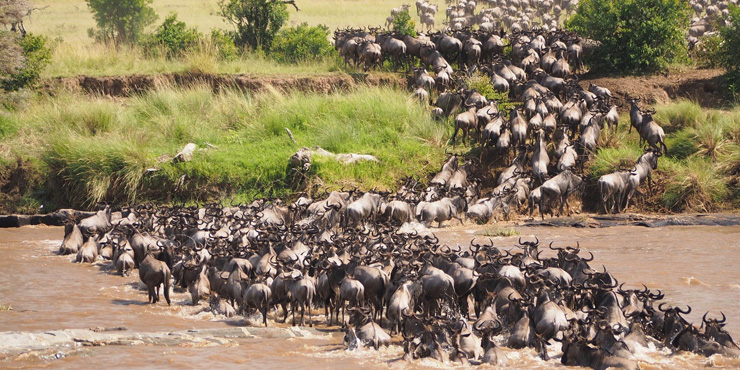 Serengeti National Park in Tanzania