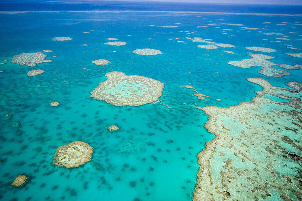 The Great Barrier Reef