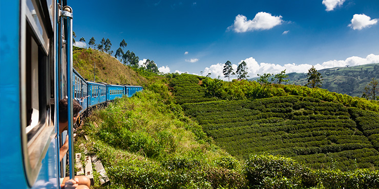 Train from Nuwara Eliya to Kandy