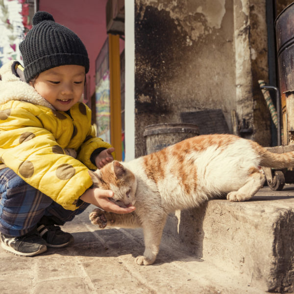 Making new friends in the Beijing hutongs
