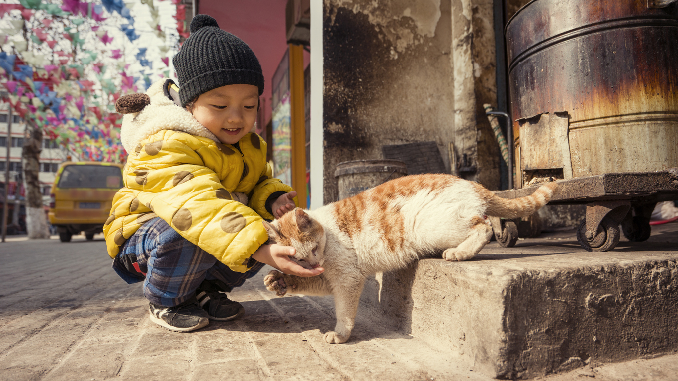 Making new friends in the Beijing hutongs