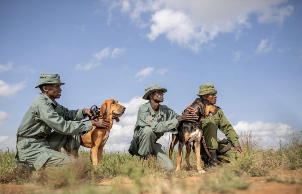 Anti-poaching unit, Loisaba Conservancy, Kenya