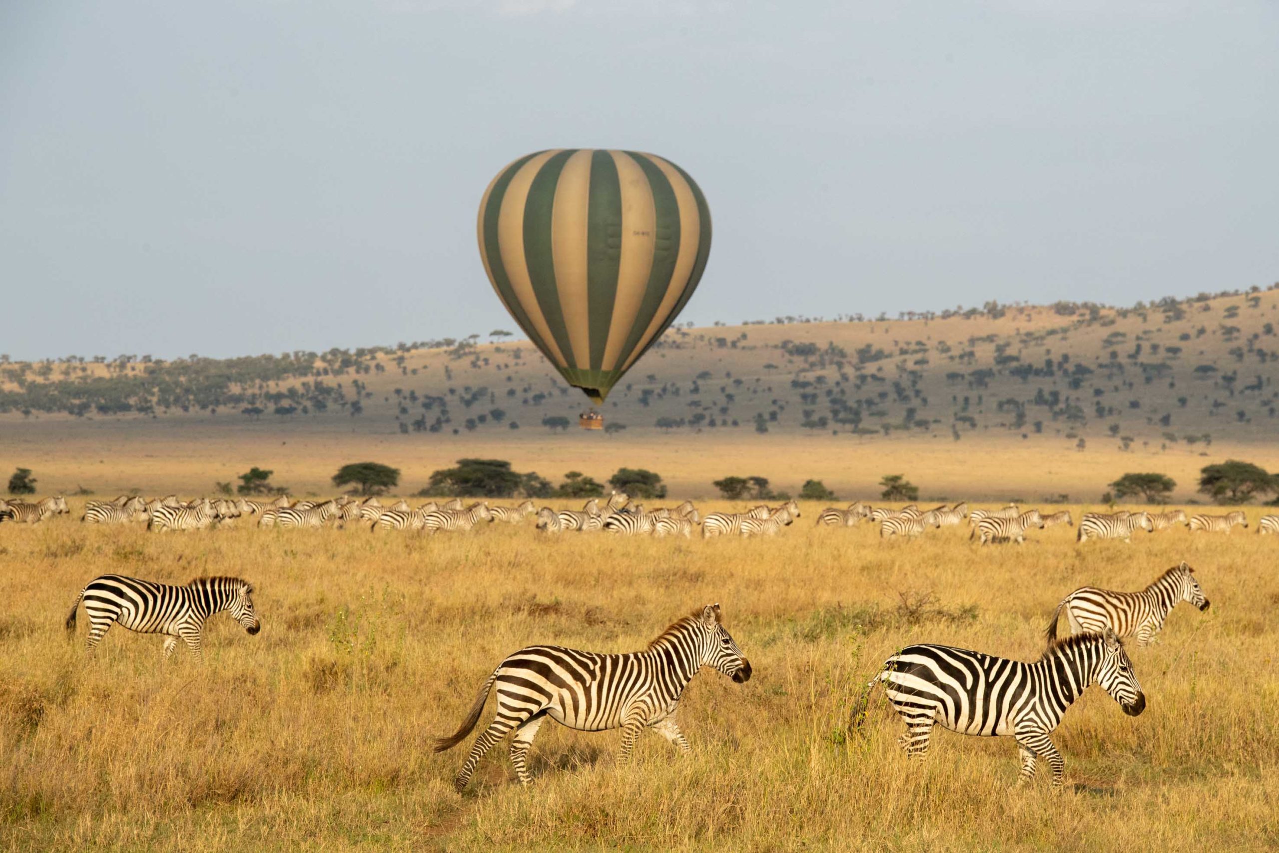 Tanzania - The Serengeti - Fly high above the Serengeti on a hot air ...