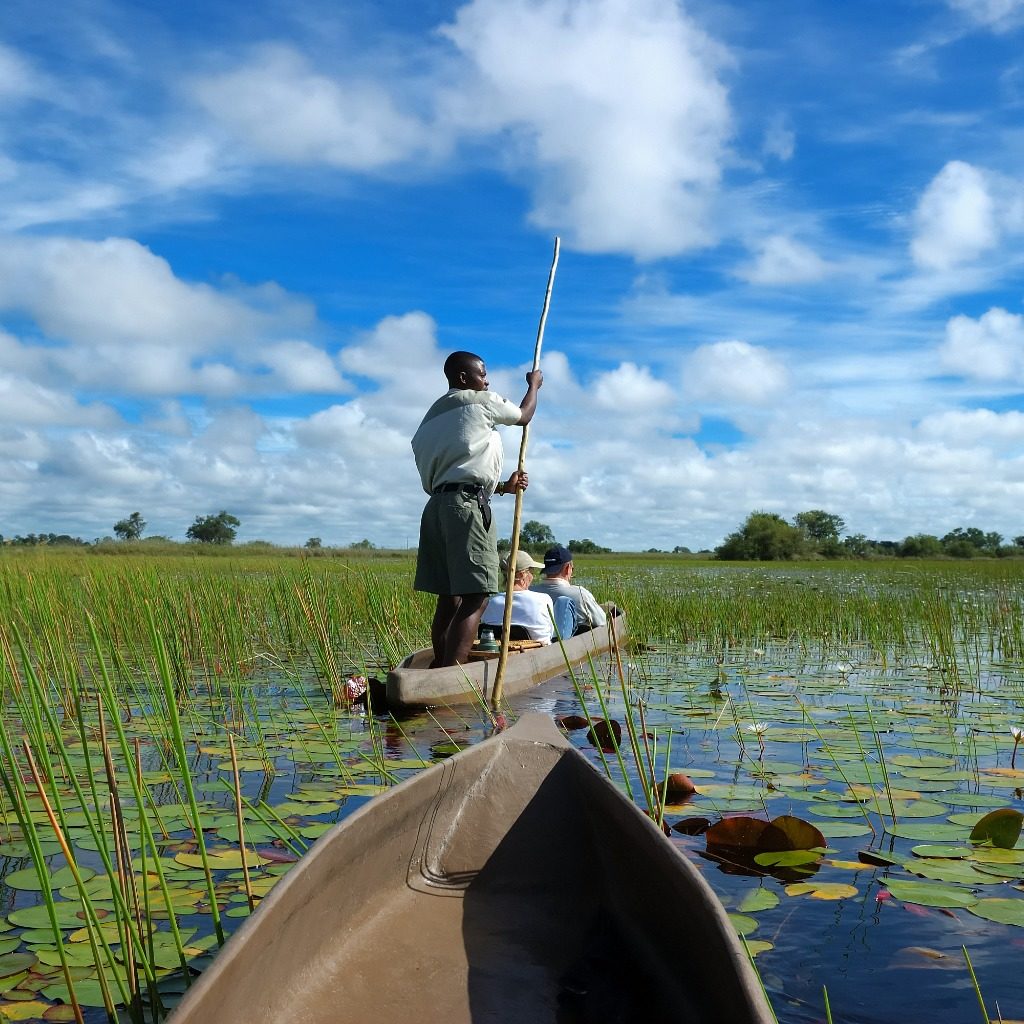 Mokoro being poled through the Okavango Delta, Botswana